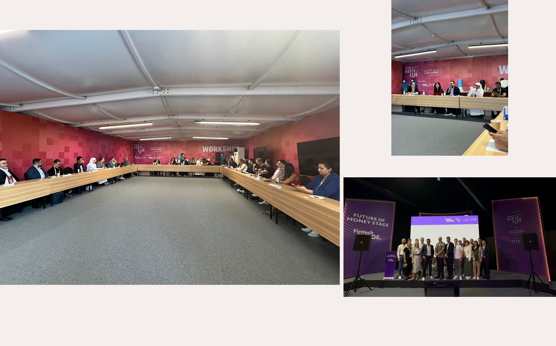 Collage for Fintech Surge - stablecoins & Future of Money